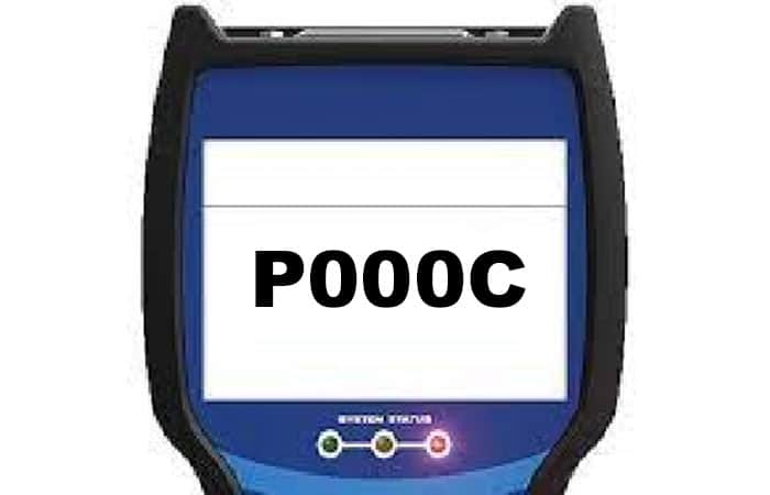 P000c