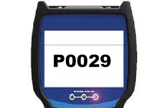 P0029